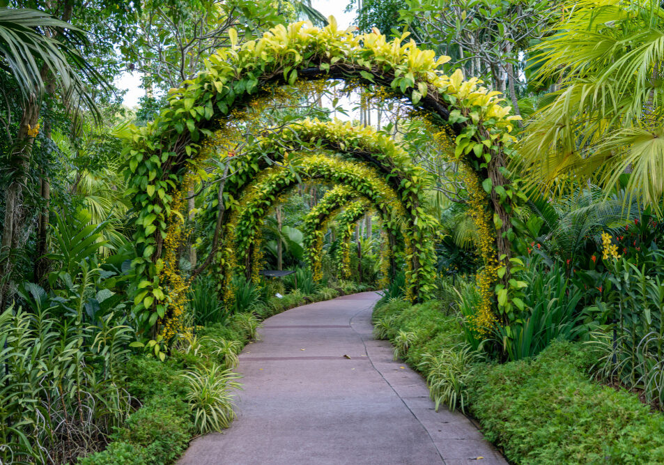 footpath-beautiful-arch-flowers-plants